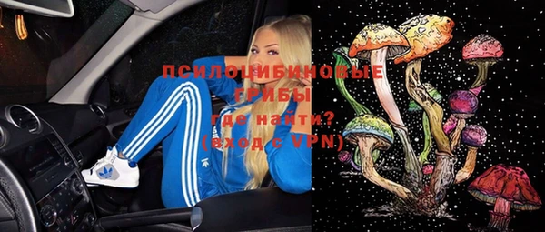 дурь Алексин