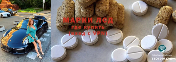 ПСИЛОЦИБИНОВЫЕ ГРИБЫ Алзамай