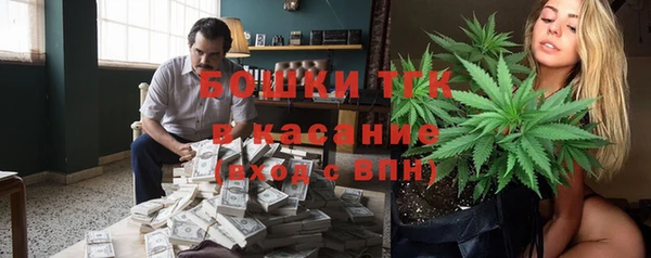 ПСИЛОЦИБИНОВЫЕ ГРИБЫ Алзамай